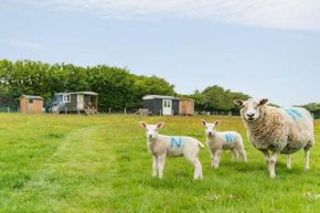 Take Time Shepherd's Huts